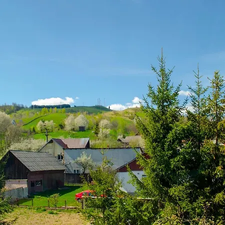 Ghinita Bucovina Gura Humorului