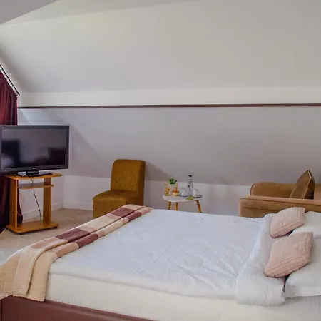 Pensionat Ghinita Bucovina