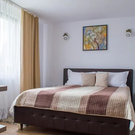 Pensionat Ghinita Bucovina Gura Humorului